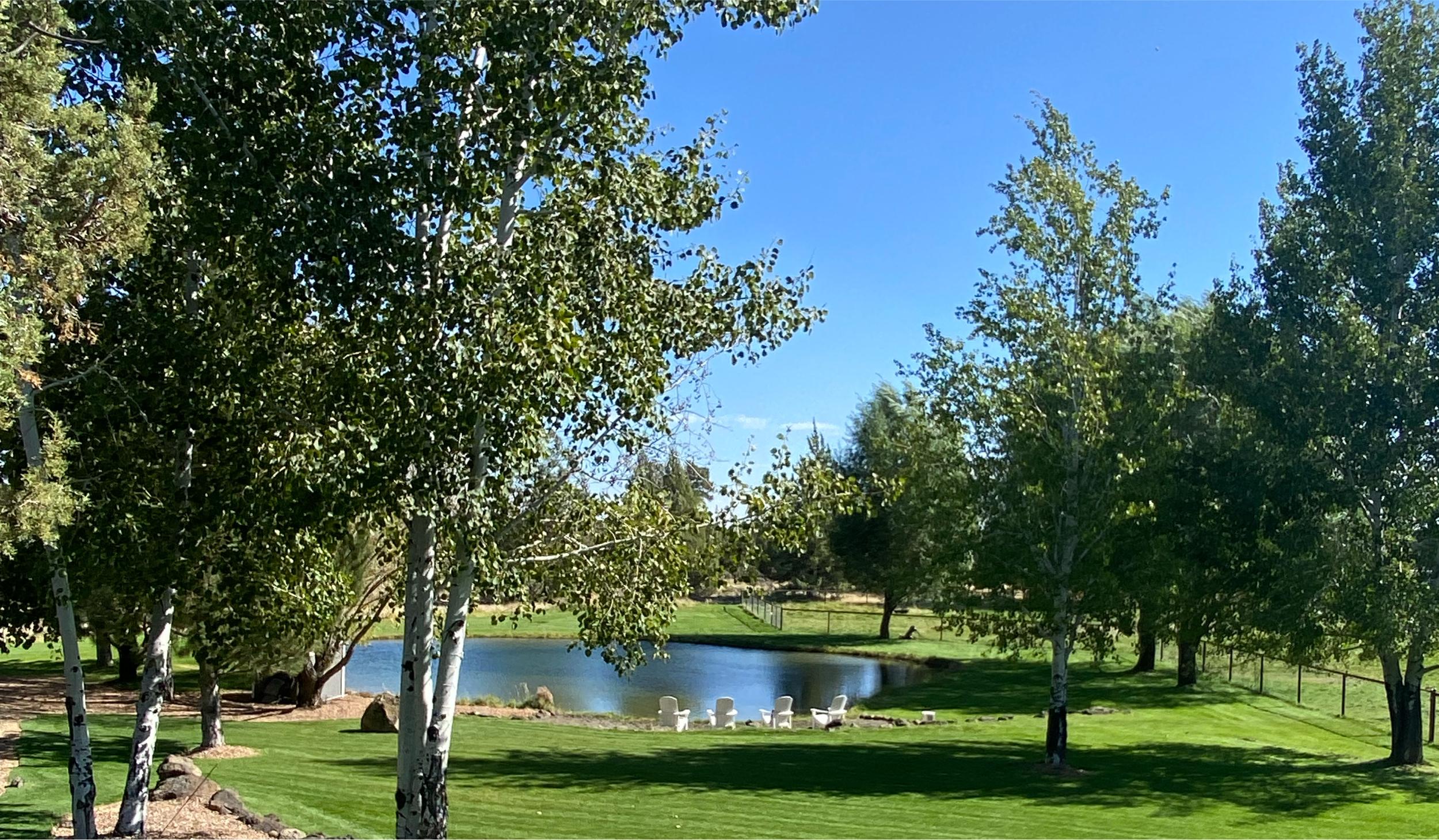 The Wedding Website of Caroline McLennan and Jacob Fields