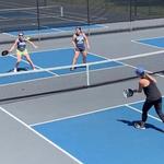 Suttle Pickleball Courts