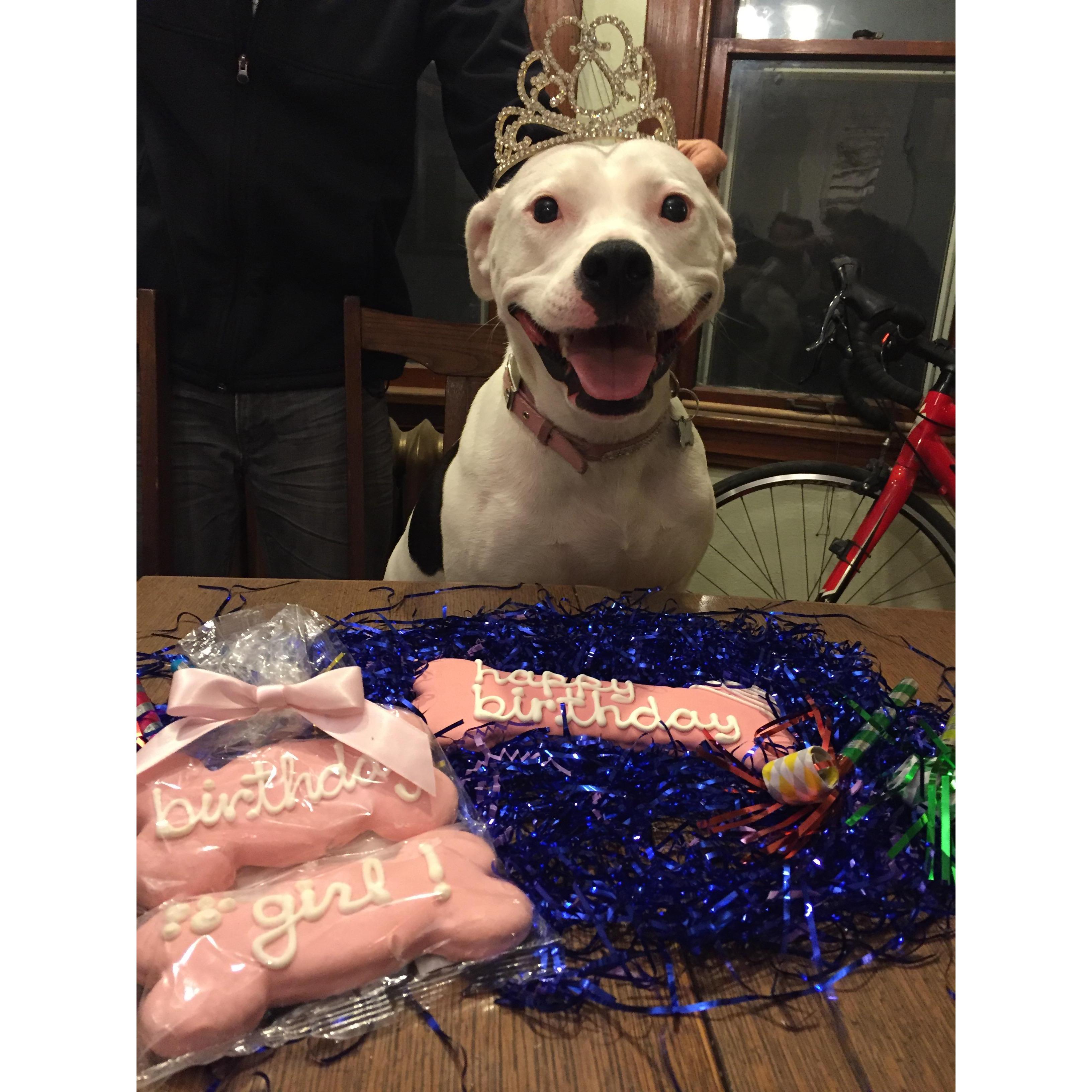 Luna's 1st birthday!!! Princess crown and everything :) 2016