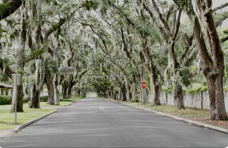 The Wedding Website of Zachary Moorman and Maggie Mascuñana