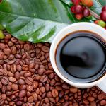 Kona Coffee & Tea