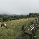 Grayson Highlands State Park