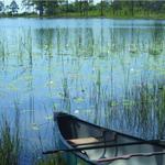 Grayton Beach State Park