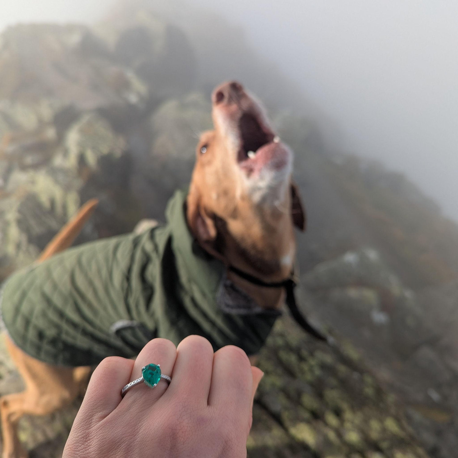 Finn pronouncing the engagement on Striding Edge