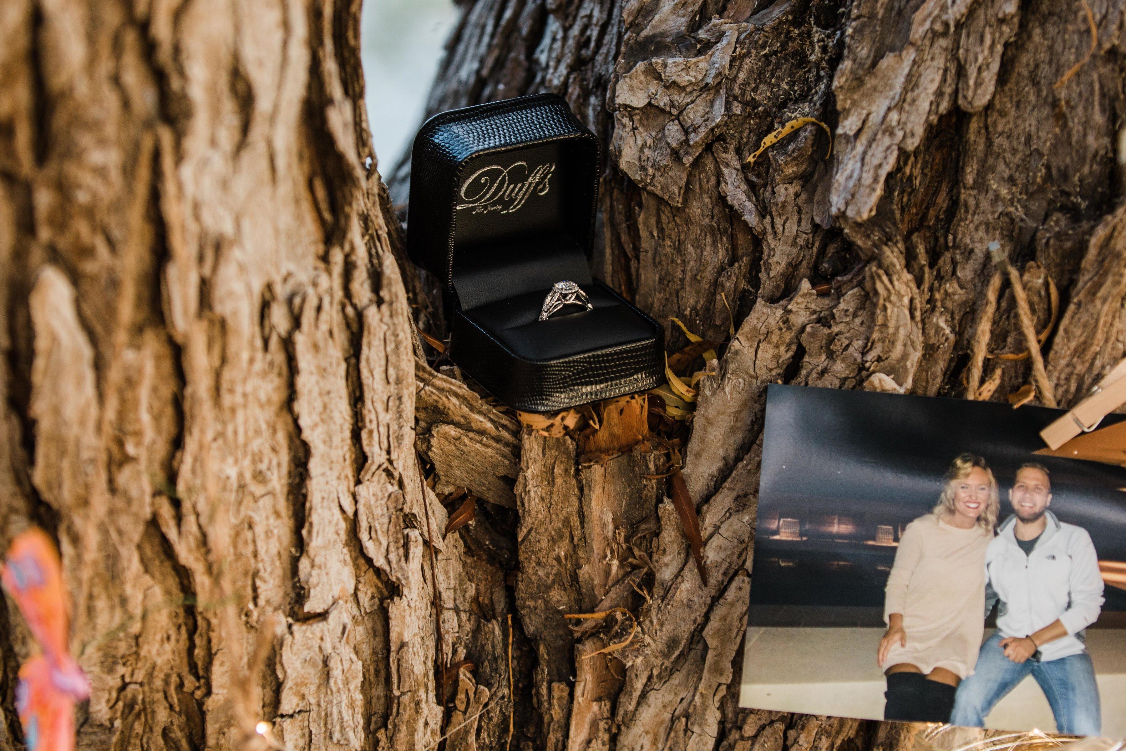 The Wedding Website of Danielle Faris and Tanner Comey