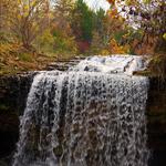 Tanyard Creek