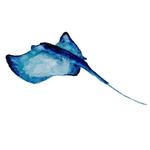 Eat: Manta