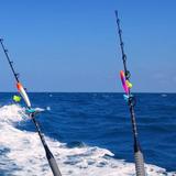Boca Grande Fishing Charters
