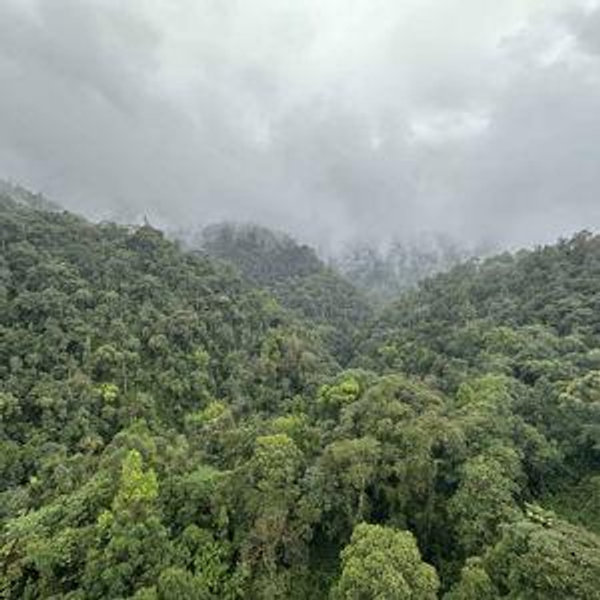 Scenic Drive from Quito to Mindo (Private Transfer)