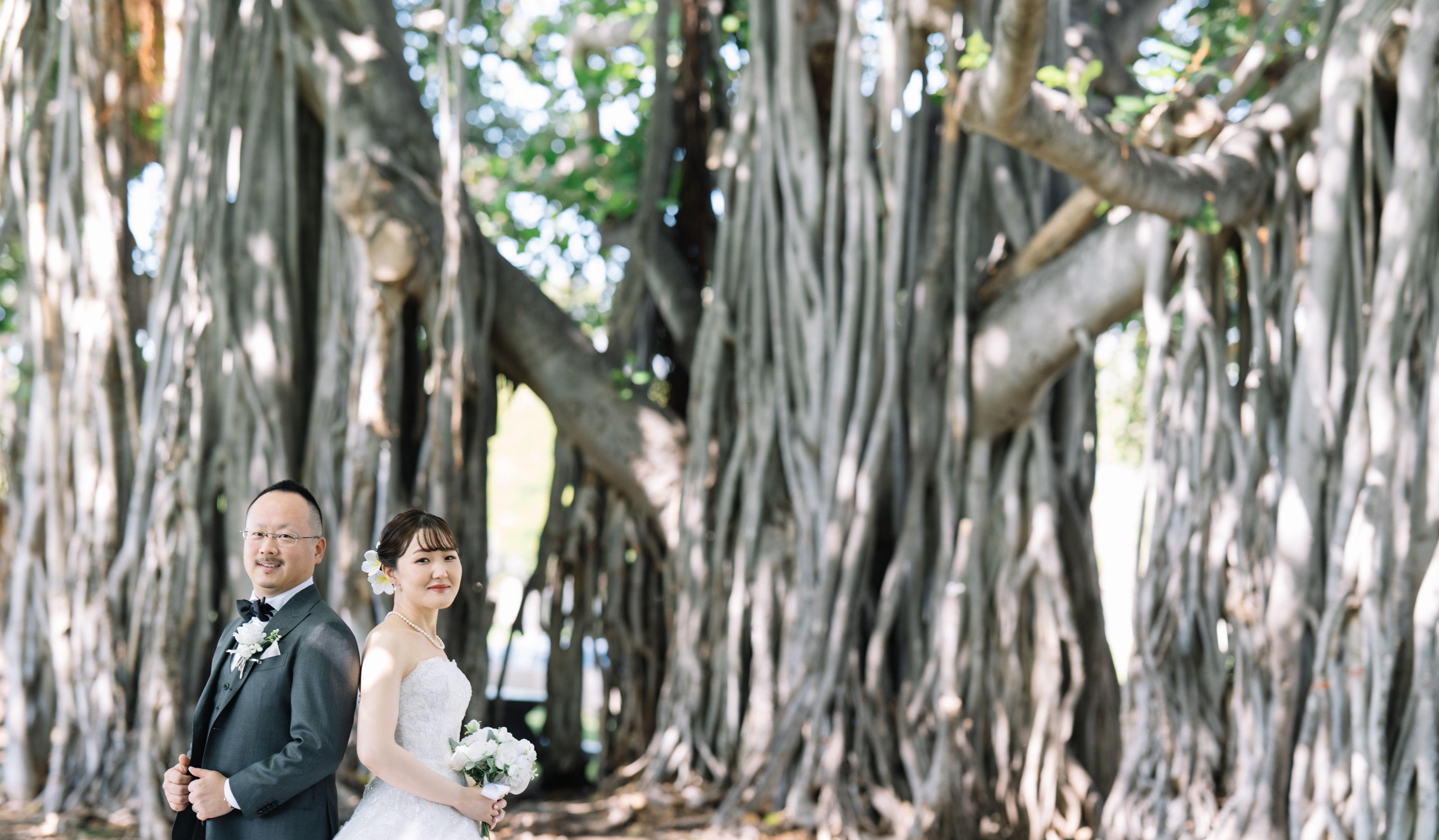 Hero Slideshow Image 0