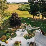 Shady Lane Cellars