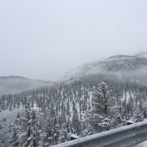 Road trip to Reno for Danny's Birthday January 2017