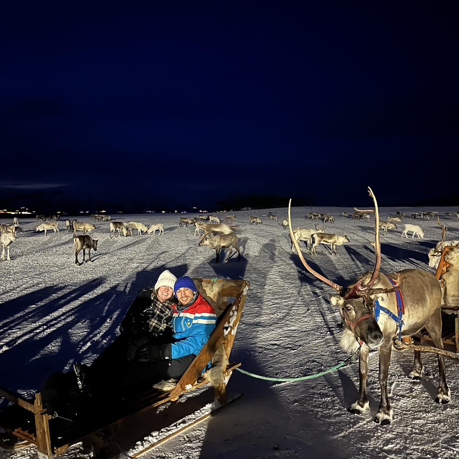 Reindeer Sleigh ride in Tromso, Norway!!
