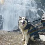 Rainbow Falls in Gorges State Park