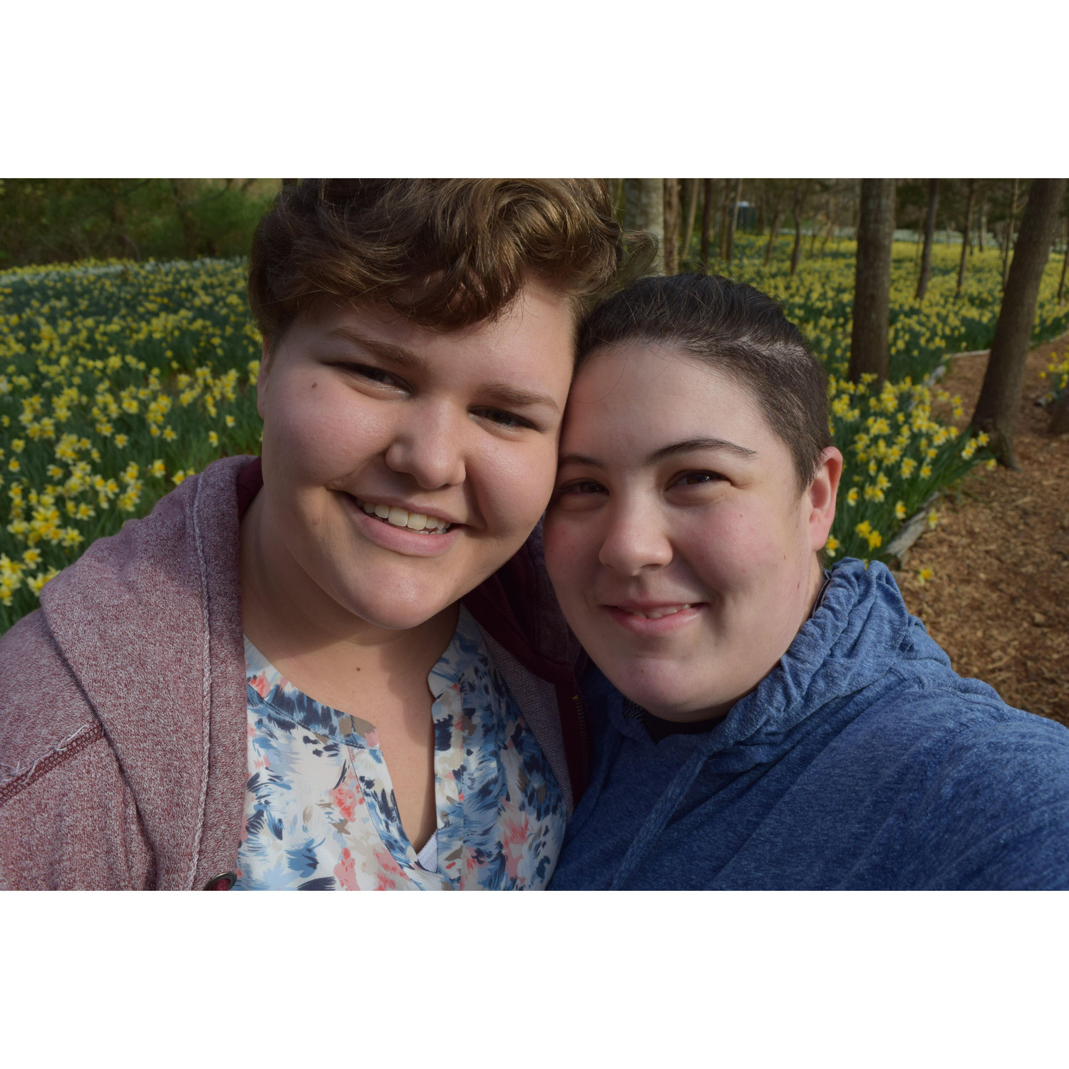 Parsons Preserve Spring 2017
