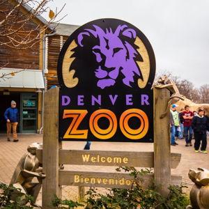 Denver Zoo Membership for 2