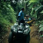 Carabalí Rainforest Park
