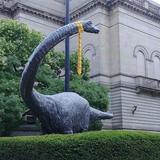 Carnegie Museum of Natural History