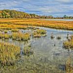 Mass Audubon's Allens Pond Wildlife Sanctuary