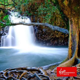 Private Half-Day Road to Hana Tour For up to 6 People - Hawaii