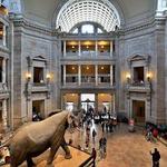 Smithsonian National Museum of Natural History