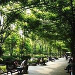 Fuxing Park