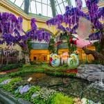 Bellagio Conservatory & Botanical Gardens