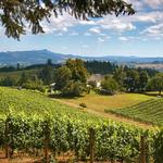 Willamette Valley Wine Country