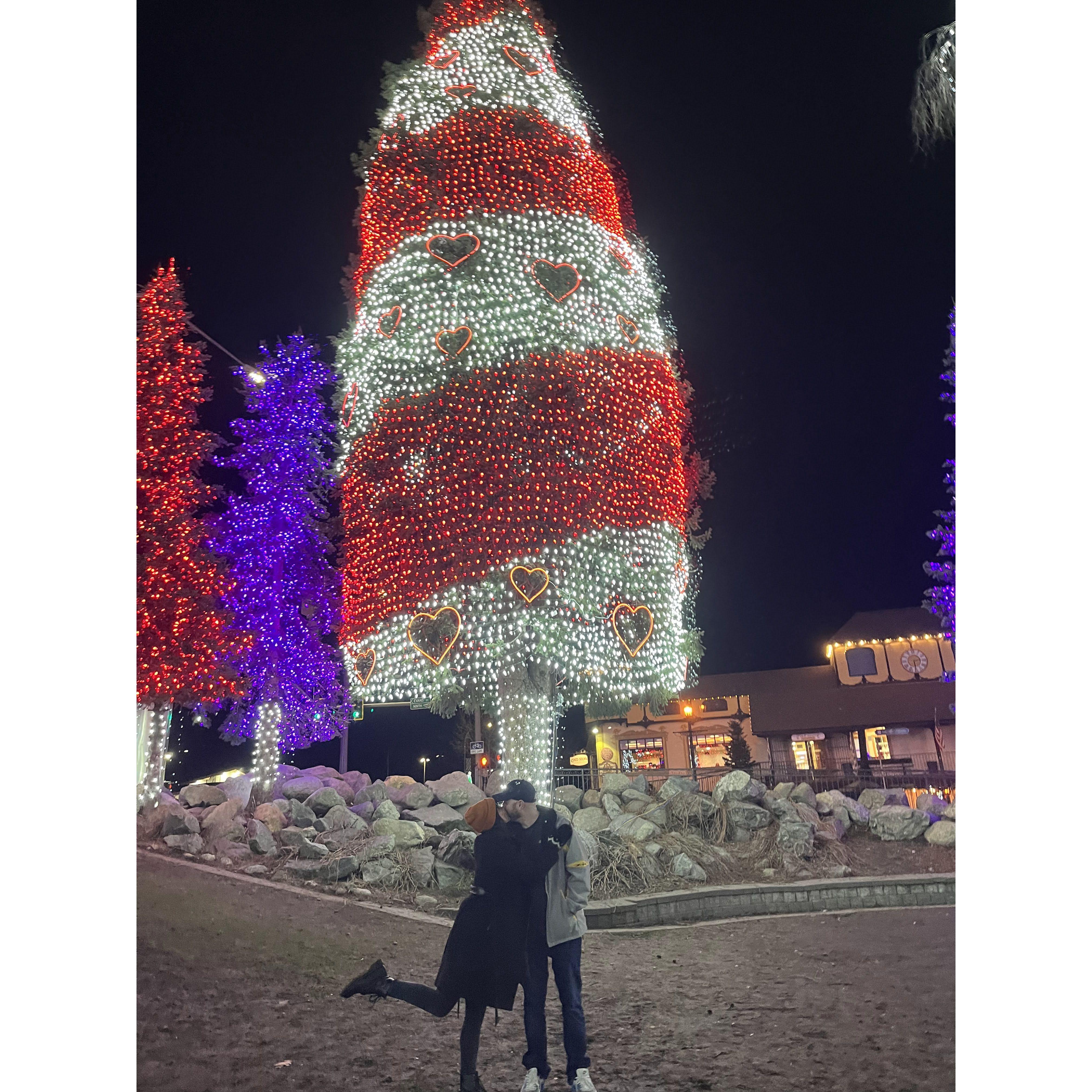 Under the love tree in Leavenworth during Amber's birthday trip