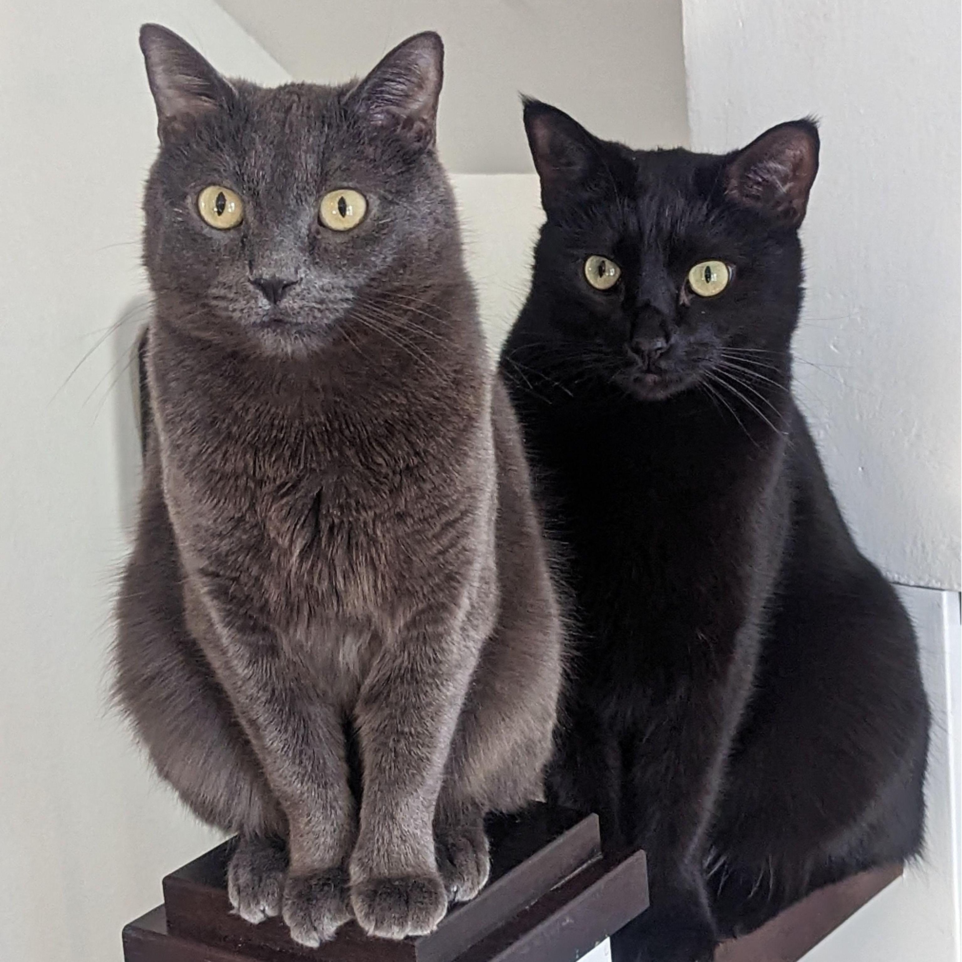 Ezri & Ruin
