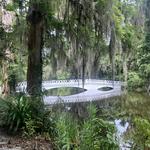 Magnolia Plantation and Gardens