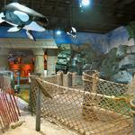 Long Island Aquarium