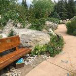 Betty Ford Alpine Gardens