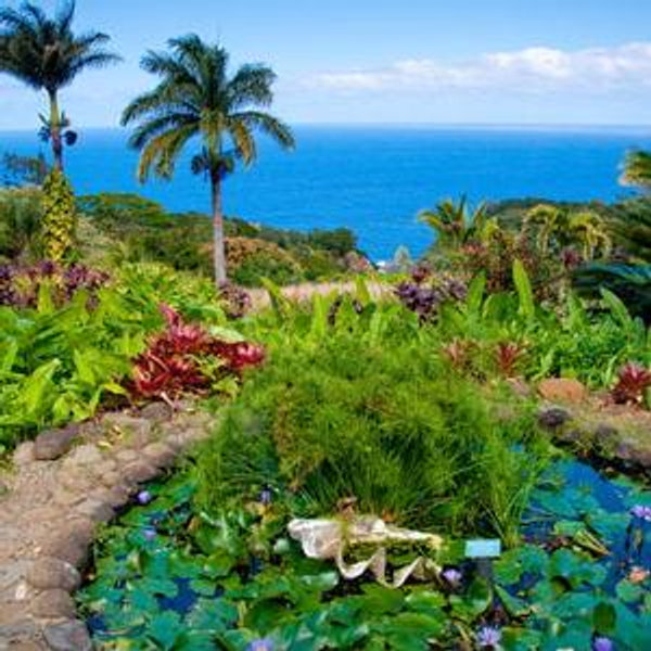 Kauai Scenic Garden Tour