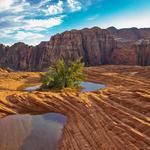 Snow Canyon State Park