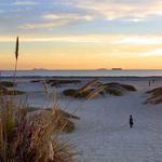 Coronado Beach