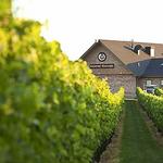 Newport Vinyards