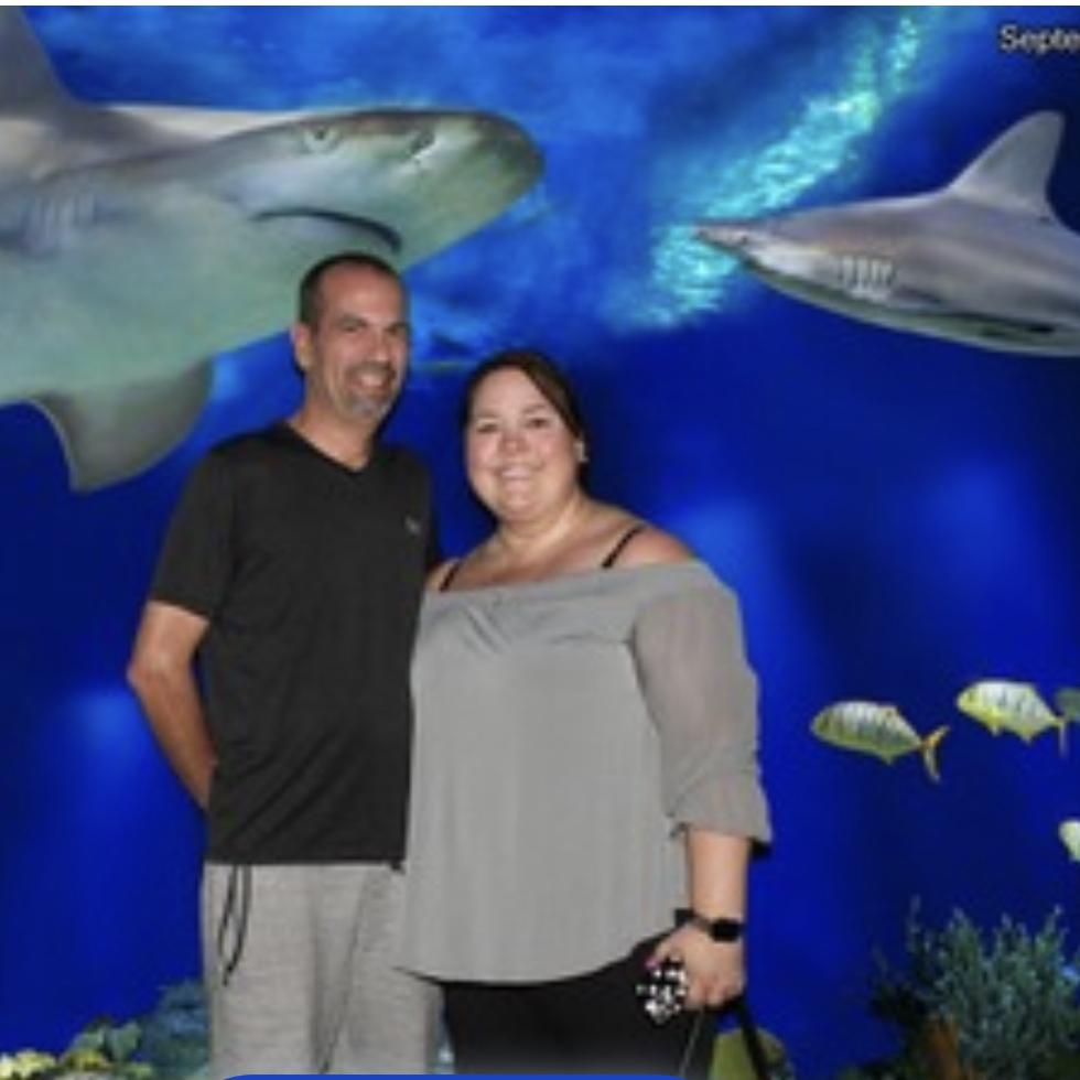 Under the sea at the Shedd Aquarium