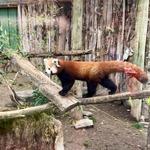 Zoo Boise