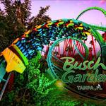 Busch Gardens Tampa Bay