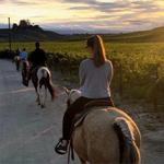 Wine Country Trails by Horseback
