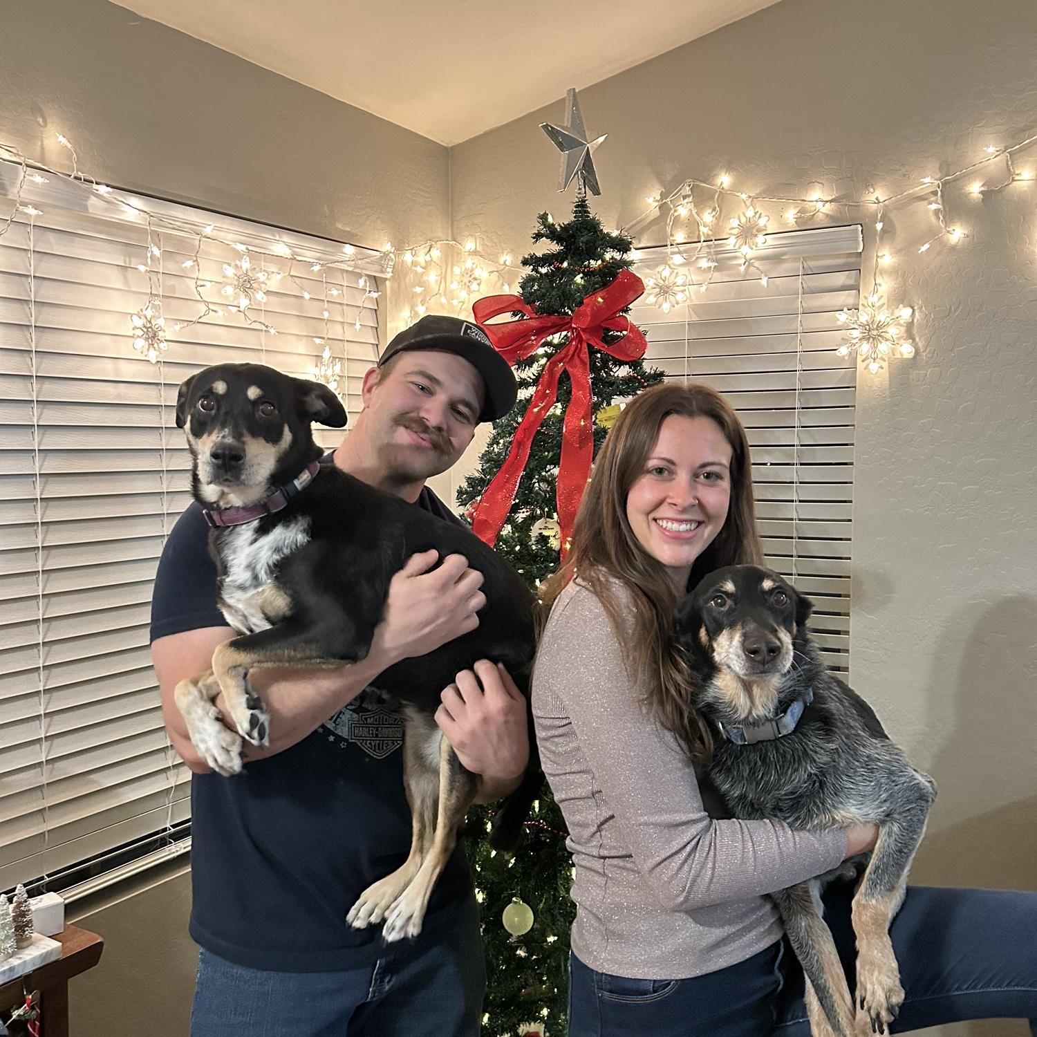 Fifth Christmas