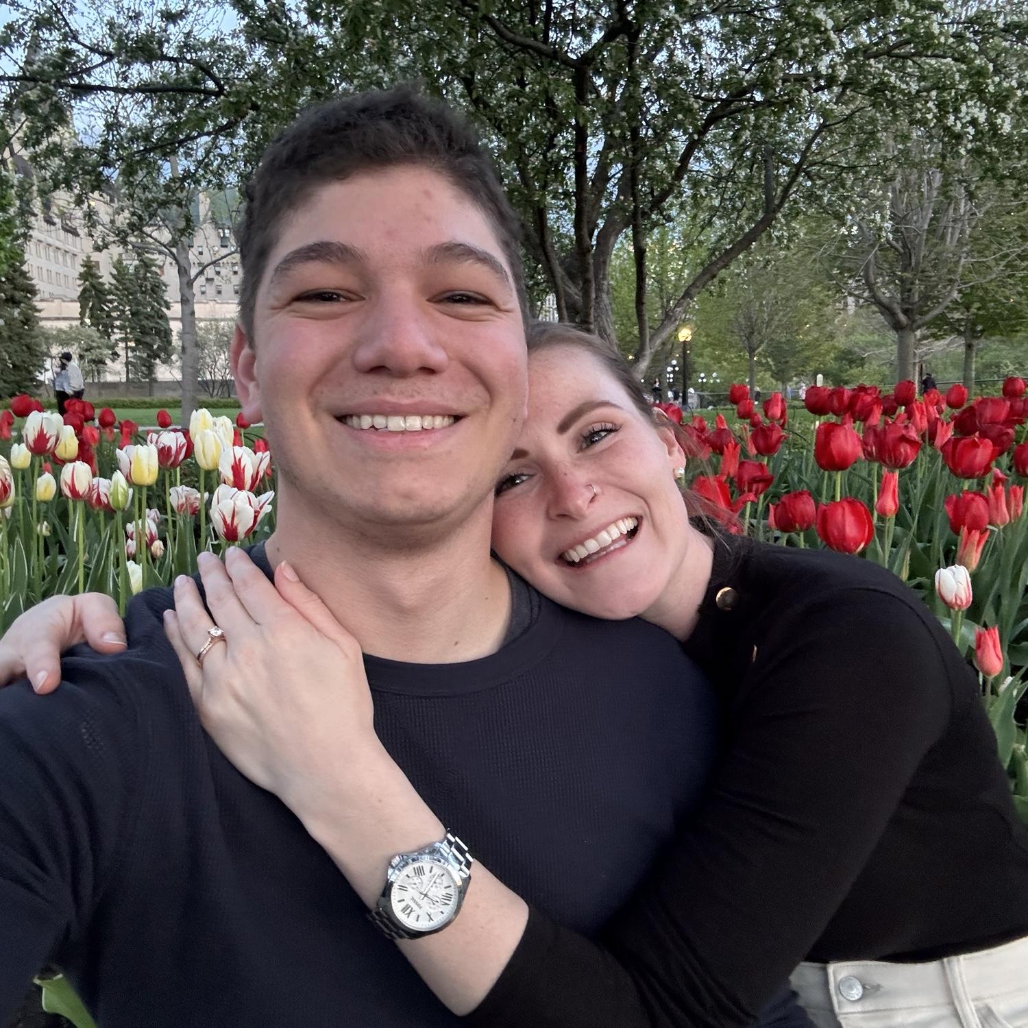 Tulip festival 2024