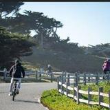 Big Sur Adventures, 17 Mile Drive
