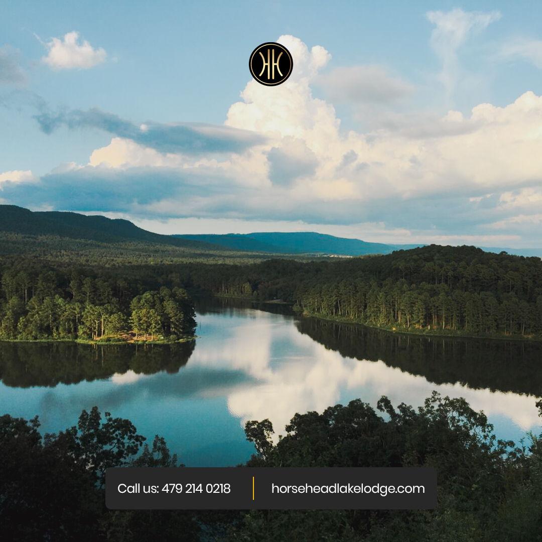 The Wedding Website of Ashley Wood and Ed Johnson