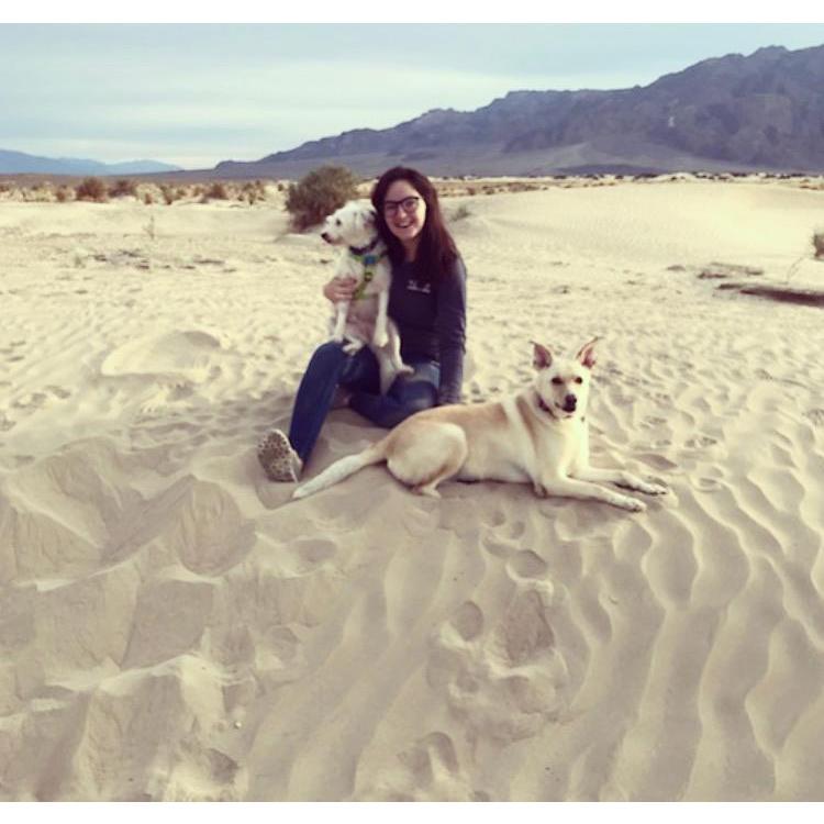 What a lovely afterDUNE