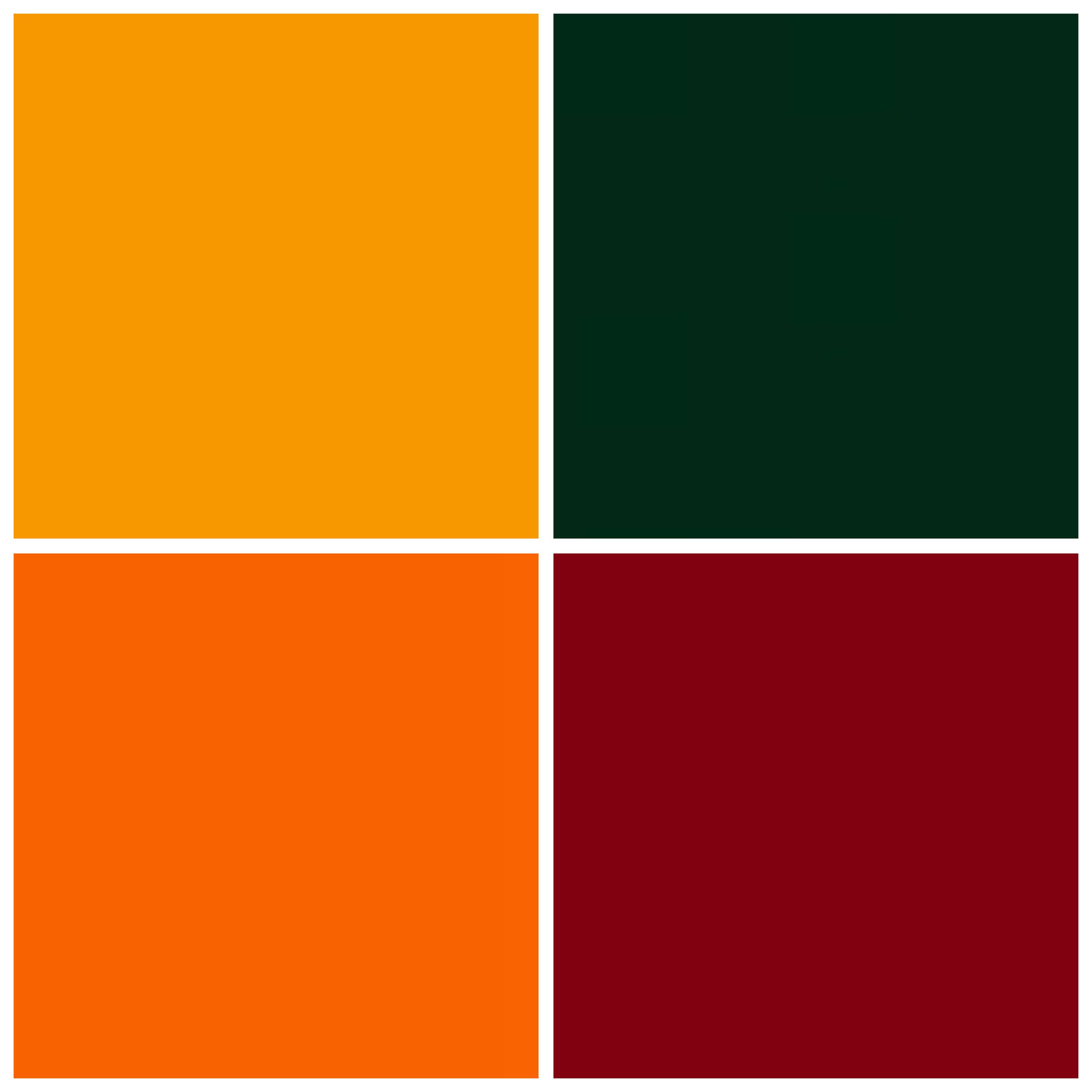 Color pallet if you want to match! - We kindly request immediate family members to wear these colors, all others are welcome if you want!