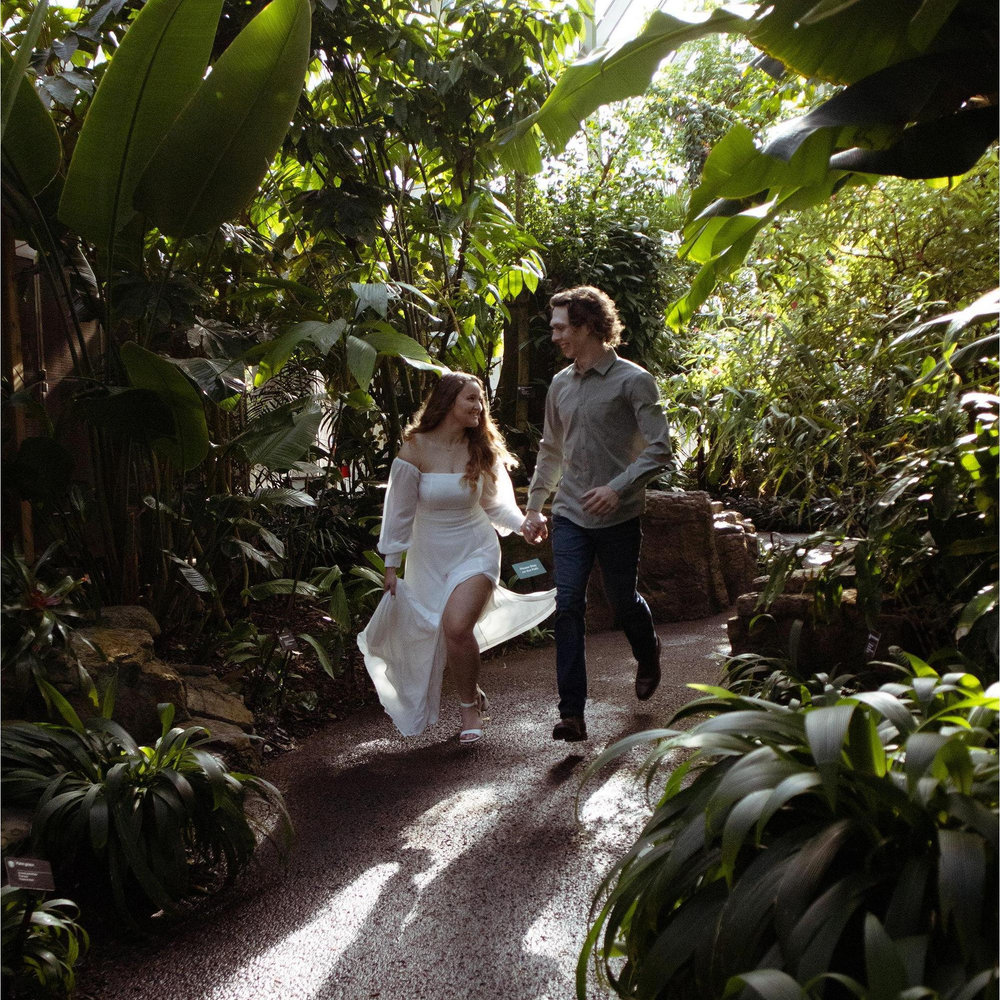 Allison Brooke Scheel and Andy Thomas Vehige's Wedding Website