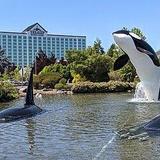 🎰 Near Tulalip Resort