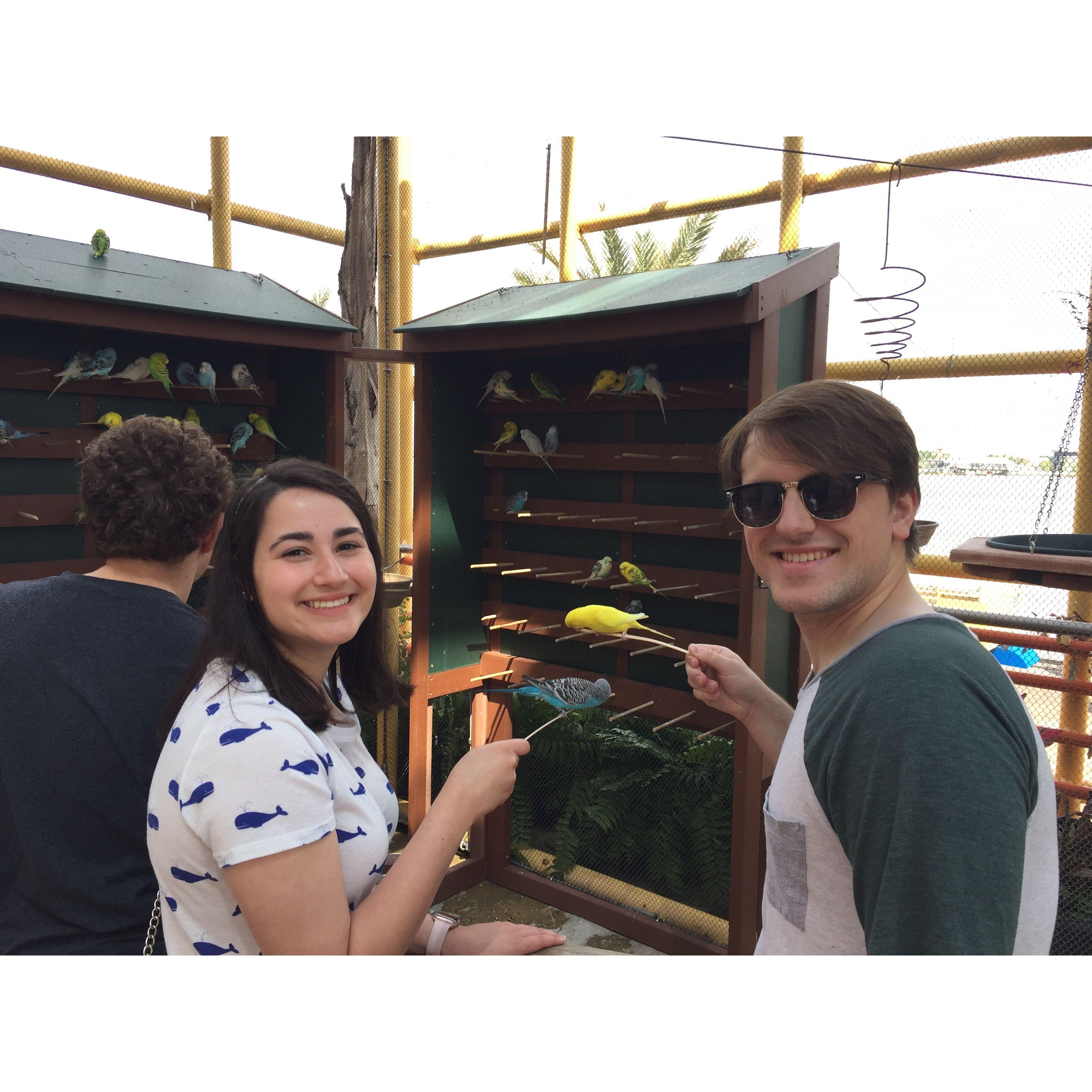 One of Nick's favorite things to do... see some birds!